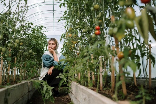 Jardin - Image d'illustration.